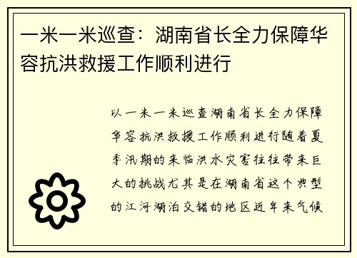 一米一米巡查：湖南省长全力保障华容抗洪救援工作顺利进行