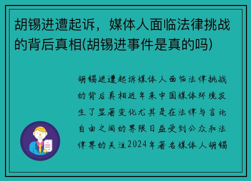 胡锡进遭起诉，媒体人面临法律挑战的背后真相(胡锡进事件是真的吗)