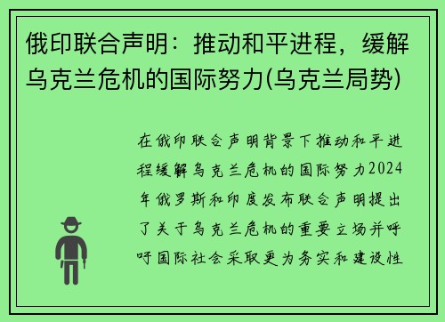 俄印联合声明：推动和平进程，缓解乌克兰危机的国际努力(乌克兰局势)