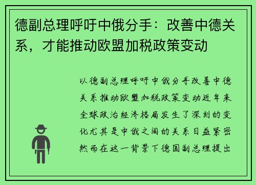 德副总理呼吁中俄分手：改善中德关系，才能推动欧盟加税政策变动